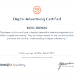 digital adversiting hubspot koel biswas